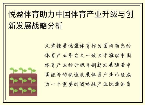 悦盈体育助力中国体育产业升级与创新发展战略分析